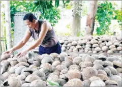  ?? SUPPLIED ?? A man sorts coconut shells which are later made into coconut-shell flower pots and coconut-shell bowls.