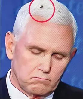  ??  ?? Causing a buzz: Mike Pence fails to notice a fly on his head, circled