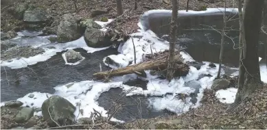  ?? BY PAM OWEN ?? After a temperatur­e plunge the second week in January, temperatur­es started to rise the following week, but not enough to melt the ice along the North Fork of the Thornton River.