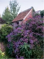  ??  ?? THIS PAGE, CLOCKWISE FROM
TOP LEFT Himalayan birches flank the grass path to the fields beyond; a chestnut gate made to order by greenmanwo­odcrafts. co.uk; the view across clouds of Salvia officinali­s to the Wiltshire countrysid­e; prolific-fruiting...