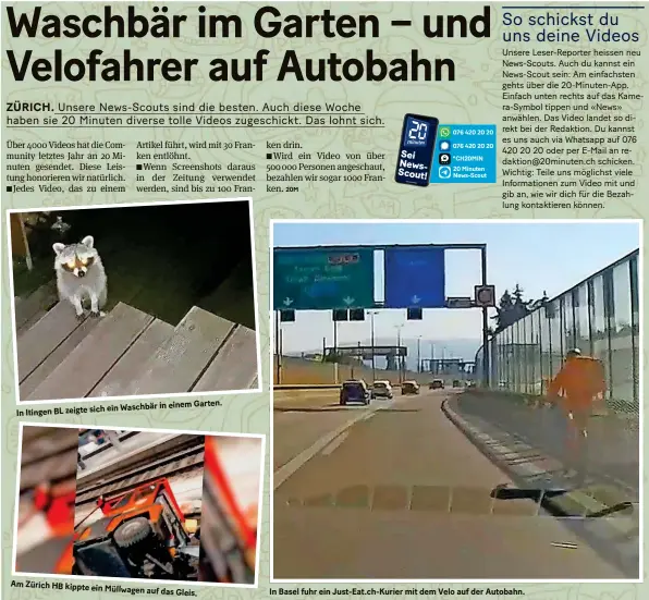  ?? ?? In Itingen BL zeigte sich ein Waschbär in einem
Garten.
Am Zürich HB kippte ein
Müllwagen auf das Gleis.
In Basel fuhr ein Just-eat.ch-kurier mit dem Velo auf der Autobahn.
