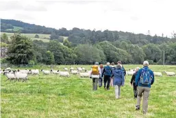  ?? Shuttersto­ck. ?? Walkers pass through a field in the Highlands.