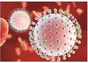  ??  ?? A preliminar­y study found that a Zika virus strain killed aggressive cancerous tumours of the central nervous system.