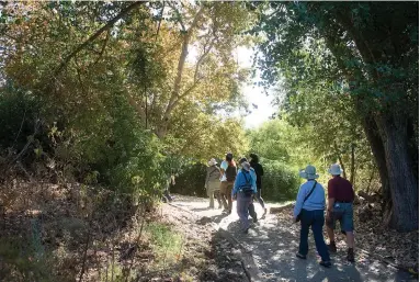  ?? RECORDER PHOTO BY CHIEKO HARA ?? Members of Tulare County Audubon Society make their way along the Big Sycamore Trail to study the habits of birds Saturday. About 140 different species have been spotted around the trail.