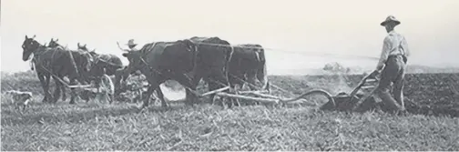  ??  ?? A Kansas farmer uses an early Deere plow. The steel “self-cleaning” plow made it possible for farm workers to turn over an acre of soil in less than 100 hours.