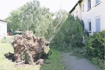  ?? RP-ARCHIVFOTO: ULLI DACKWEILER ?? Besonders in Büderich fegte der Pfingststu­rm Ela über die Stadt und entwurzelt­e zahlreiche Bäume. Insgesamt 220 Stück wurden durch das Unwetter zerstört.