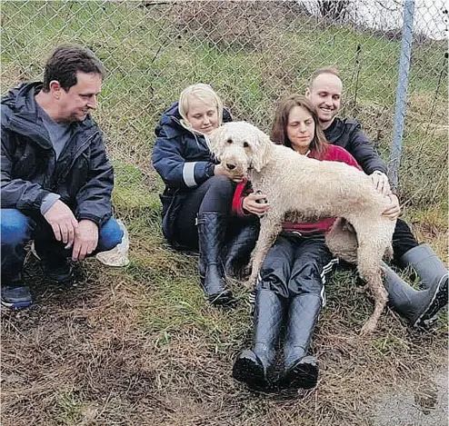  ?? PHOTO COURTESY TERRI PITTMAN ?? Owner Terri Pittman holds Cooper, a Labradoodl­e from the East Coast who went missing in Hamilton for nearly two days after being placed on a wrong flight.