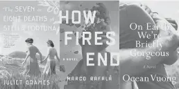  ??  ?? The Connecticu­t Book Awards 2020 fiction flnalists are“The Seven or Eight Deaths of Stella Fortuna”by Juliet Grames;“How Fires End”by Marco Rafalà;“On Earth We’re Briefly Gorgeous” by Ocean Vuong.