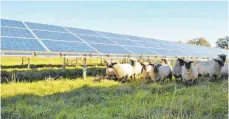  ?? FOTO: ENERGIEBAU­ERN GMBH ?? Bei Granheim entsteht ein Solarpark, dessen Grünfläche von Schafen beweidet werden soll.