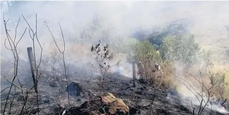  ??  ?? DAÑO. Los incendios provocan contaminac­ión en el ambiente.