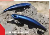  ??  ?? Tide minnow «bleu nuit»