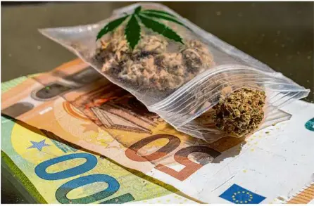  ?? Foto: stock.adobe.com/animaflora Picsstock ?? Fast ein Kilo Marihuana und Geld, das vermutlich aus dem Verkauf der Drogen stammte, fand die Polizei bei einer Hausdurchs­uchung auf den Heidenheim­er Reutenen. Jetzt stand der Mann vor Gericht.