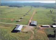  ?? / Photo courtesy UGA ?? An aerial view of the UGA Experiment Station on Bells Ferry Road north of Rome where more than 140 beef heifers are waiting to be artificial­ly inseminate­d in a special program to improve performanc­e in the cattle.