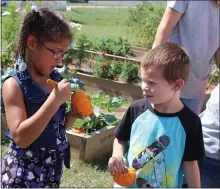  ?? MEDIANEWS GROUP FILE PHOTO ?? Children learn about growing at the Barth Elementary School community garden in Pottstown.