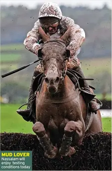  ?? ?? MUD LOVER Nassalam will enjoy testing conditions today