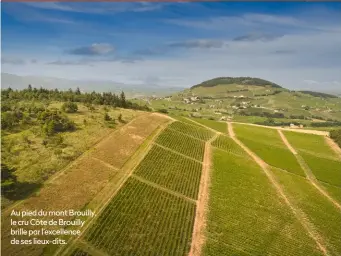  ?? ?? Au pied du mont Brouilly, le cru Côte de Brouilly brille par l’excellence de ses lieux-dits.