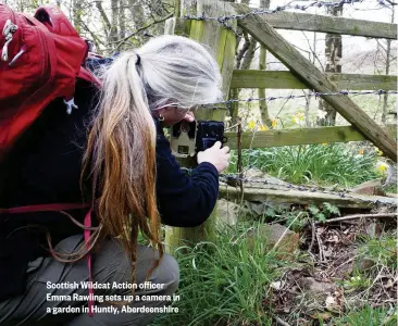  ??  ?? Scottish Wildcat Action officer Emma Rawling sets up a camera in a garden in Huntly, Aberdeensh­ire
