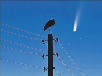  ??  ?? The comet’s closest approach is expected on July 23 (photo: Sergei Gapon/AFP via Getty Images)