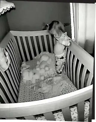  ??  ?? Sinister: Footage broadcast online from a baby monitor