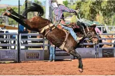  ?? PHOTO: CONTRIBUTE­D ?? PERFECT PAIR: Clayton Braden on Perfect Match will be the one to watch in the St Brendan’s Rodeo.