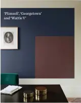  ??  ?? ‘Plimsoll’, ‘Georgetown’ and ‘ Wattle V’
