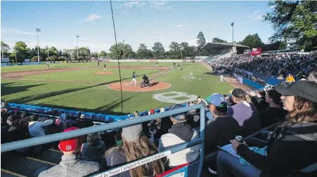  ??  ?? Fans at Wilson’s Group Stadium at Royal Athletic Park enjoy the HarbourCat­s season opener in 2019. No such luck this year, Jack Knox writes.