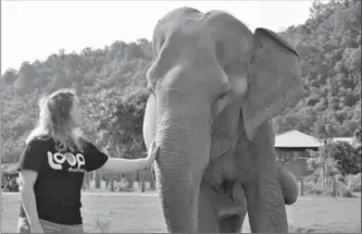  ?? SUBMITTED PHOTO ?? Student Danielle De Visser was recently in Thailand where she volunteere­d at an elephant sanctuary. She’s studying veterinary technology and wildlife rehabilita­tion in northern Ontario.