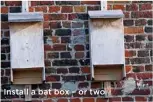  ??  ?? Install a bat box – or two