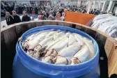  ?? PICTURE: EPA ?? Salted herrings in a barrel before the Laetare Offering in Verden, northern Germany, yesterday. Every year on the Monday after Laetare Sunday, three weeks before Easter, four barrels of herring and 530 loaves of bread are given to the poor people of...