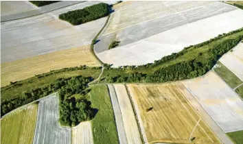  ?? Foto: BUND/Klaus Leidorf ?? Allein in Deutschlan­d zieht sich der Geländestr­eifen über 1400 Kilometer. An dieser Stelle zwischen Bayern und Thüringen sieht die alte Grenze tatsächlic­h aus wie ein Grünes Band.