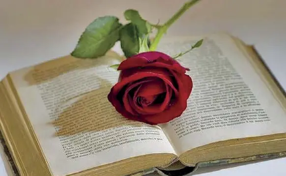  ??  ?? Tradizioni «Rose e libri», per l’antica festa catalana di Sant Jordi, che da 25 anni coincide con la Giornata mondiale del libro: il rito di regalare una rosa alla persona amata