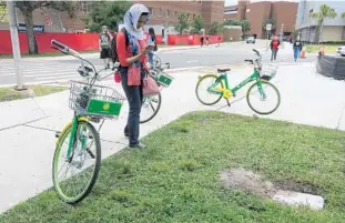  ?? PHOTOS BY KEVIN SPEAR/ORLANDO SENTINEL ?? Lime bikes are gaining traction on the UCF campus. The student rate of 50 cents per ride is a discount from the standard $1 per 30-minute ride.