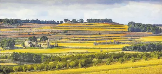  ?? MEDITERRÁN­EO ?? TIERRA. En la provincia de Valencia se encuentran las Terres dels Alforins, un paraje colorido y precioso comparado con la Toscana italiana.