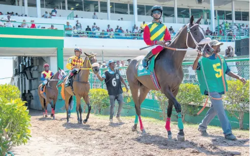  ?? FILE ?? EDDIE’S PRINCESS (5) with Sadiki Blake; ADORNING LADY (6,) ridden by Anthony Thomas; and PRINCESS STATIC (7), ridden by Christophe­r Mamdeen, are led on to the track by their respective groomsmen ahead of the 1100m race at Caymanas Park on Saturday, July 13, 2019.