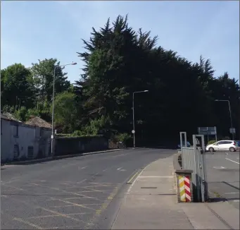  ??  ?? Some of the trees on the Donore Road will make way for a developmen­t.