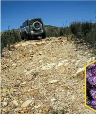  ??  ?? GREAT TREK. Colourful blooms (inset) along the trail lends this historic route some beauty. The ox-wagon route was started in 1689 under orders from Simon van der Stel, VOC governor of the Cape Colony back then.