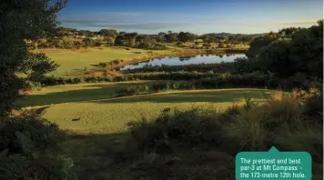  ??  ?? The prettiest and best par-3 at Mt Compass – the 173-metre 12th hole.