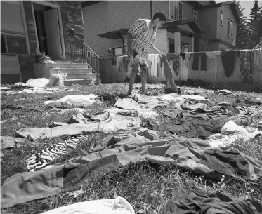  ?? Leah Hennel/ Postmedia News ?? Elussein Mohamed, 19, lays his family’s clothes on the lawn of their Bowness home in Calgary,