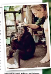  ??  ?? Jane in 1965 with a chimp pal (above) and (right) researchin­g in the wild