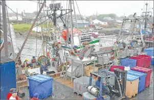  ?? CAPE BRETON POST FILE PHOTO ?? Louisbourg Seafoods, which employs 350-400 people, is one of two Cape Breton companies that will be represente­d at Seafood Expo Asia, a trade show attracting more than 8,800 profession­als in the seafood sector from more than 65 countries to Hong Kong....