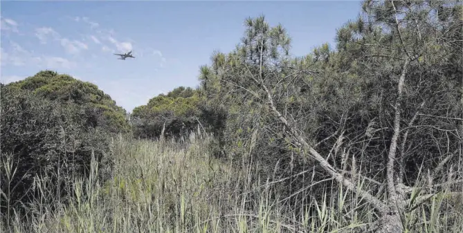  ?? Ferran Nadeu ?? Un avión sobrevuela un paraje cercano a la laguna de La Ricarda, un espacio catalogado como reserva natural e incluido en la red europea Natura 2000.