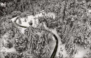  ?? Jae C. Hong / Associated Press ?? State Route 138 winds through snow-covered trees Wednesday near Hesperia, Calif. Emergency crews are scrambling to shuttle food and medicine to residents of California mountain communitie­s stranded by winter storms.