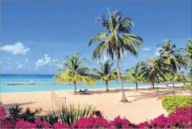  ?? Picture: Maitha Ahmed ?? Nuts & Bolts holiday destinatio­n of choice – Barbados