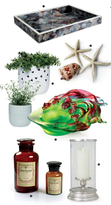  ??  ?? 1. Casablanca tray – available at Maison Curio 2. Seashell and starfish – available at Maison Curio 3. Pot plants – available at www.cranmoreho­me.com.au 4. Harmonious Beauty – available at Liuligongf­ang 5. Galston hurricane – available at www.one.world...