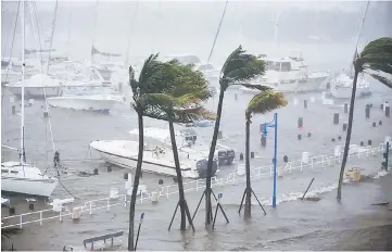  ??  ?? Boats are seen at a marina in Coconut Grove as Hurricane Irma arrives at south Florida, in Miami. — Reuters photo