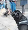  ?? FOTO: DPA ?? Mopsbesitz­er vor dem Landgerich­t in Ingolstadt: Sie kamen zur Unterstütz­ung der Klägerin.