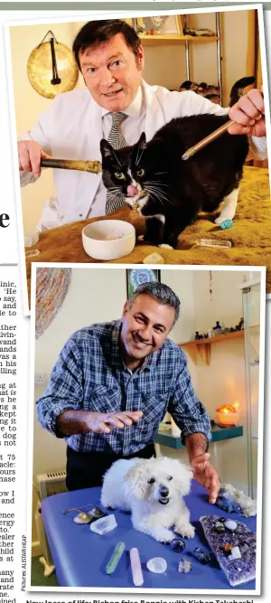  ?? Pictures:ALISTAIRHE­AP ?? New lease of life: Bichon frise Bonnie with Kishan Takahashi and Thomas the cat with Clyde Hughes and his divining rods