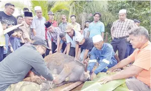  ??  ?? SAPAWI bersama Kamarlin dan Hafez serta penduduk kampung melaksanak­an ibadah korban di majlis itu.