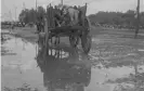  ?? Photograph: Courtesy of the Torreón municipal archive ?? Bodies of the dead were carried away on carts and buried in mass graves.