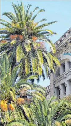  ?? FOTOS: DPA ?? Die Promenade in Nizza ist von Palmen gesäumt.